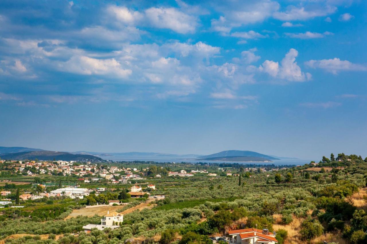 Aeolus Luxury Apartment - I Nafplio Exterior photo